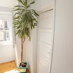 Boho & Lisboa